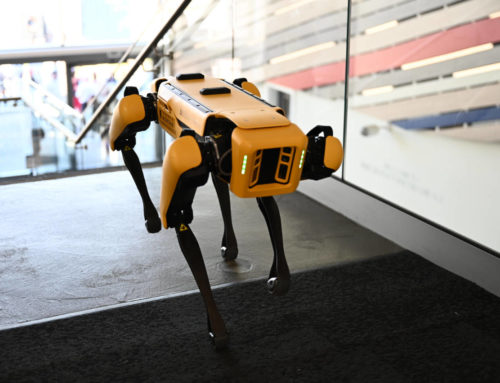 University of Buckingham’s new robotic dog Spot spotted at Silverstone Grand Prix!